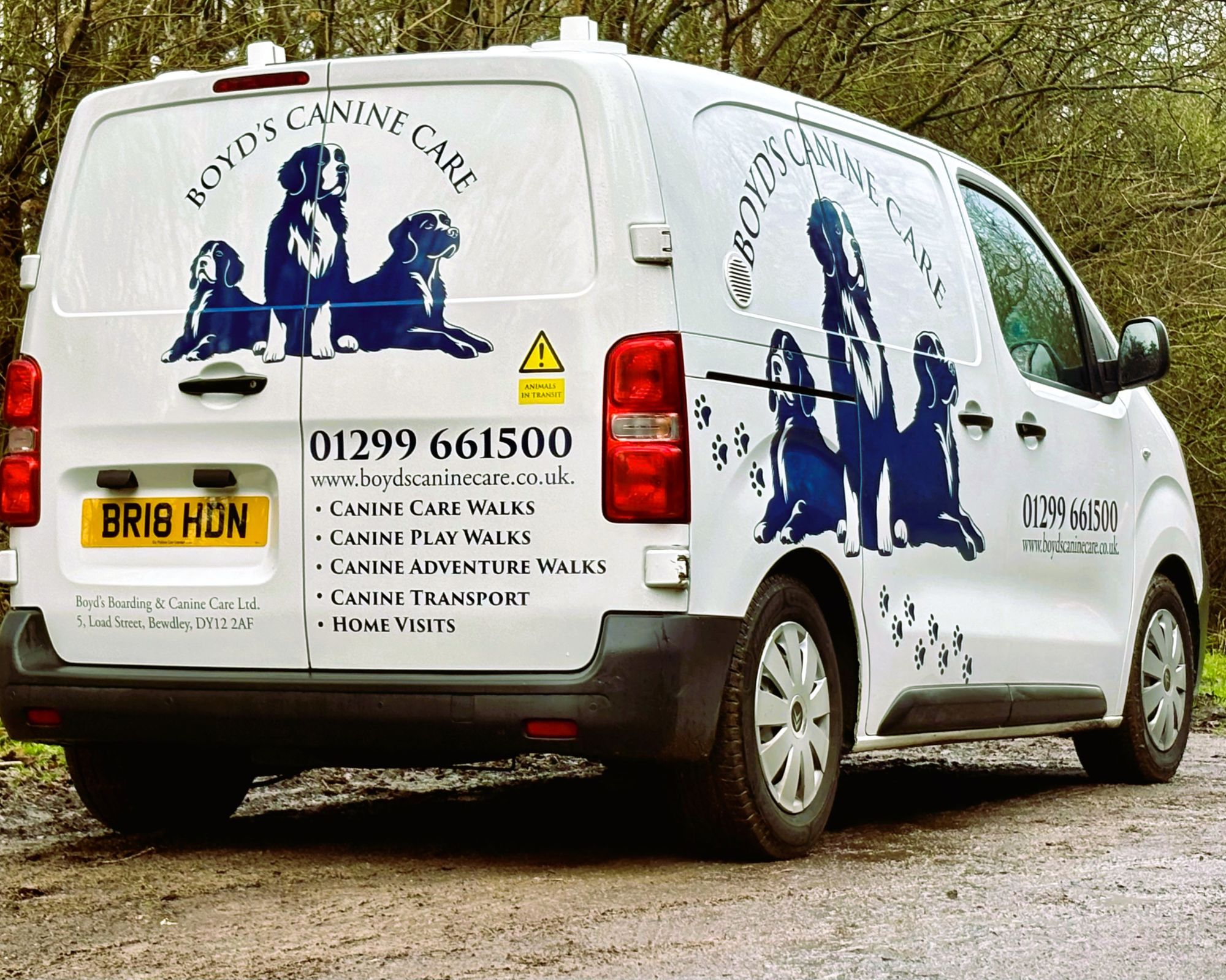 og Transport Services – Safe & Reliable Pet Travel